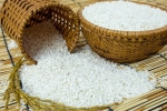 Đặt thùng gạo nhớ nguyên tắc “2 kín – 1 đầy” – Làm đẹp