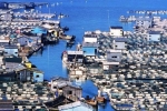 “Ngôi làng trên biển” ở Trung Quốc: Nhà cửa nổi lênh đênh, cuộc sống tiện nghi không thua trên đất liền – Khám phá