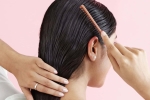 Nguyên tắc chăm sóc da đầu khỏe mạnh để nuôi dưỡng mái tóc dày óng ả và chắc khỏe – Làm đẹp