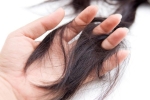 Bật mí tips chọn dầu gội phù hợp để đối phó với tình trạng tóc rụng như lá mùa thu – Làm đẹp