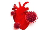Hàng loạt người từng mắc COVID-19 tại Mỹ gặp vấn đề về tim mạch – Khám phá