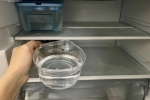 Vì sao nên để một bát nước trong tủ lạnh? – Làm đẹp