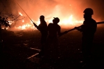 Hơn 120.000 ha bị thiêu rụi trong vụ cháy rừng ở Hy Lạp trong 8 tháng qua – Khám phá