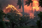 Lệnh sơ tán do cháy rừng ở Hawaii được dỡ bỏ, 388 người vẫn mất tích – Khám phá