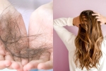 7 sai lầm khi gội đầu dễ khiến tóc “toang” chỉ trong thời gian ngắn – Làm đẹp