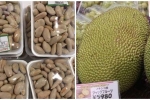 Người Nhật phải mua 200.000đ/cân thì người Việt lại vứt bỏ vì không biết công dụng giảm cân bất ngờ của hạt mít – Làm đẹp