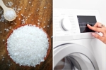 Đổ muối vào máy giặt có tác dụng gì? – Làm đẹp