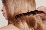 5 cách trị rụng tóc, hói đầu giúp mái tóc bồng bềnh như suối mây – Làm đẹp