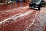 Bí ẩn về những cơn “mưa máu” xuất hiện liên tục tại Ấn Độ – Khám phá