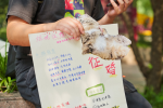 Trào lưu mới ở Trung Quốc: ”Mai mối” cho mèo để tìm ý trung nhân cho mình – Khám phá