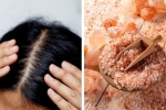 Mẹo dùng loại gia vị quen thuộc để gội đầu sạch gàu, giúp giảm tình trạng rụng tóc – Làm đẹp
