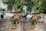 Màn bắt trend chụp ảnh xe chở hoa khiến dân mạng tranh cãi: “Không thể nào đẹp bằng mùa thu Hà Nội?” – Du lịch