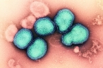 Trung Quốc xuất hiện ca tử vong do nhiễm hỗn hợp virus cúm A/H3N2 và H10N5 – Khám phá