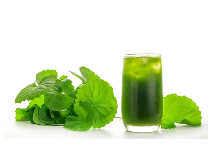  Thức uống màu xanh giàu diệp lục tươi tốt dáng đẹp da từ các loại rau này rất dễ tìm và cực rẻ – Làm đẹp