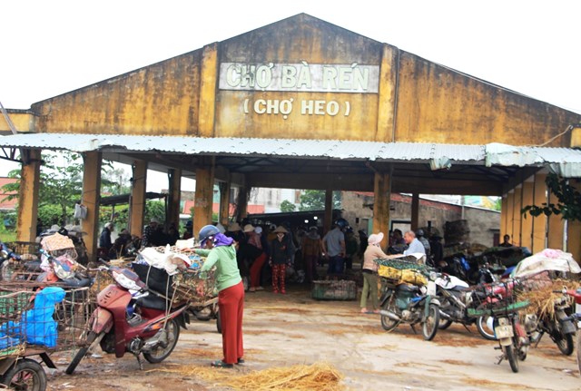 Quảng Nam có “chợ bồng heo” – Du lịch