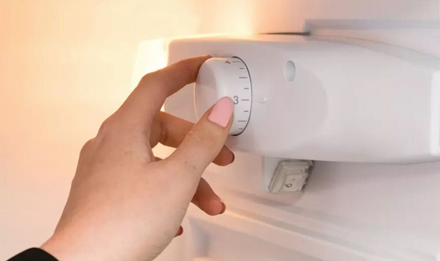 Tiết kiệm điện bằng cách chỉnh một nút nhỏ trên tủ lạnh – Làm đẹp