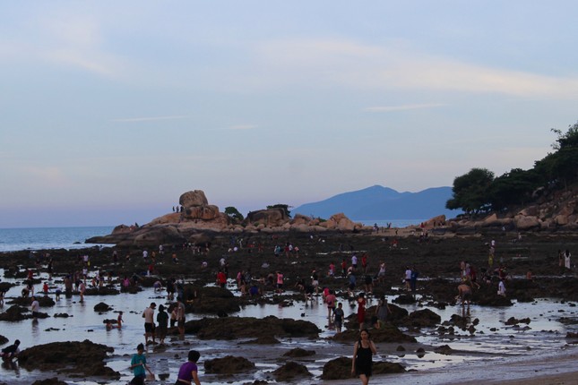 Mò cua, bắt cá ngay giữa lòng phố biển Nha Trang – Du lịch